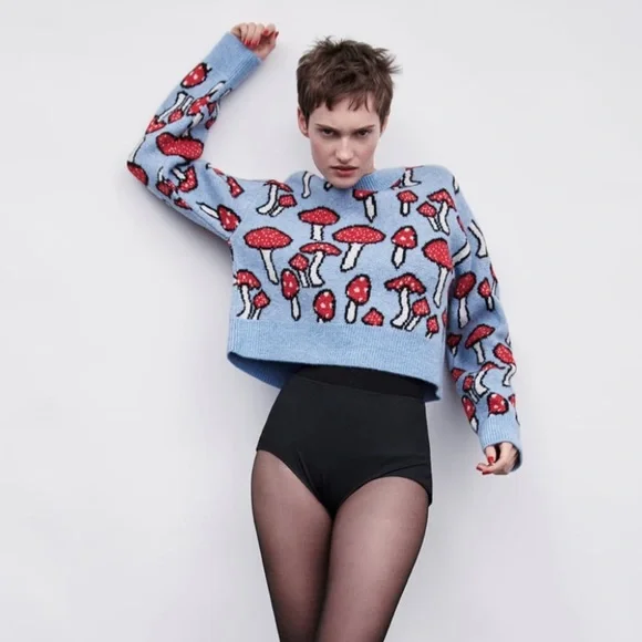 NWT Zara mushroom printed cropped sweater - Picture 2 of 3